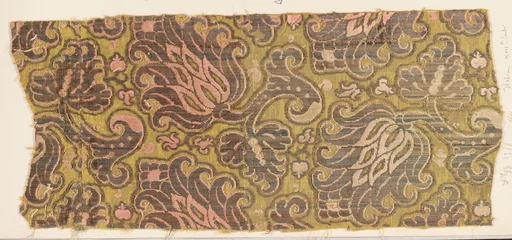Fragment