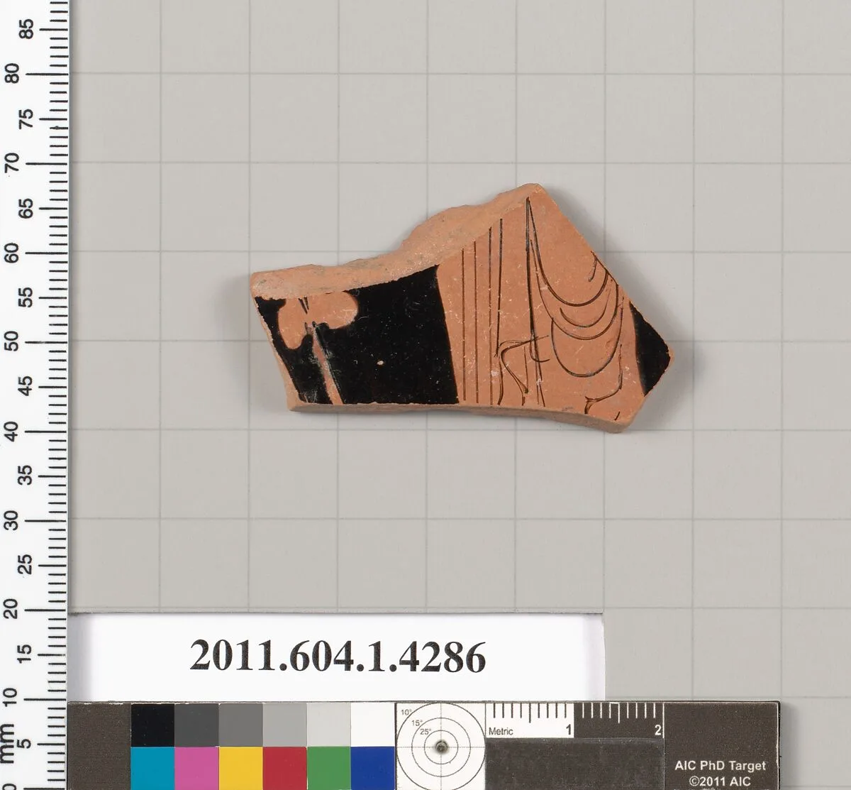 Terracotta fragment of a kylix (drinking cup) — Unknown