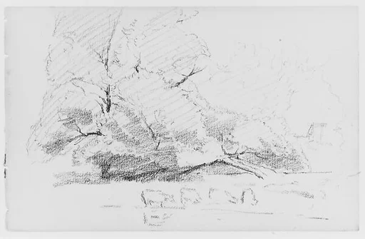Landscape With Cows (from Sketchbook)