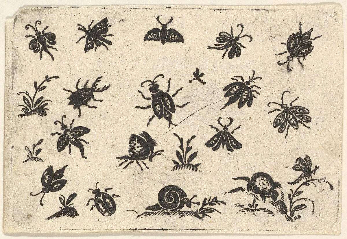 Small Motifs of Insects and Plants — Georg Herman