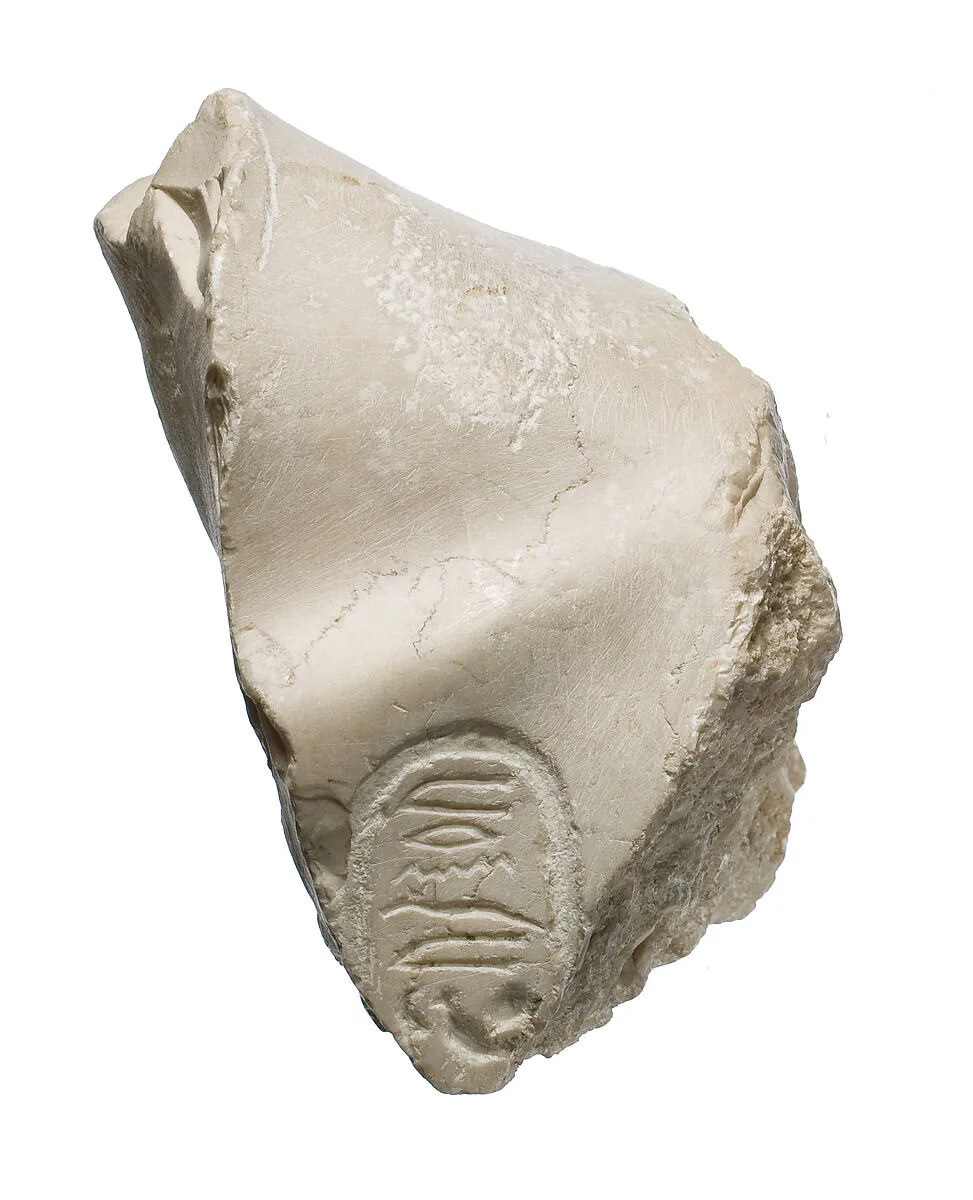Left shoulder with Aten cartouches, from statue of Akhenaten or Nefertiti with angled forward — Unknown