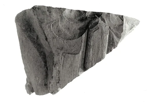 Raised relief fragment