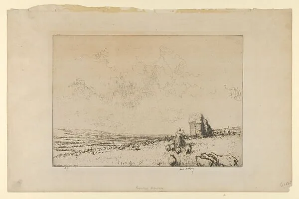 Surrey Downs — James McBey