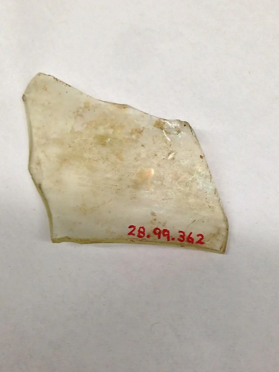 Fragment — Unknown