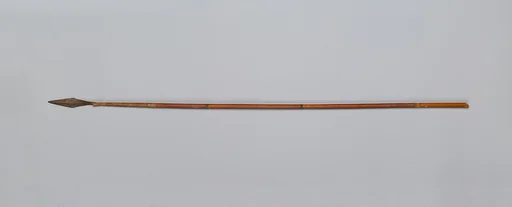 Pointed Pile of a Javelin