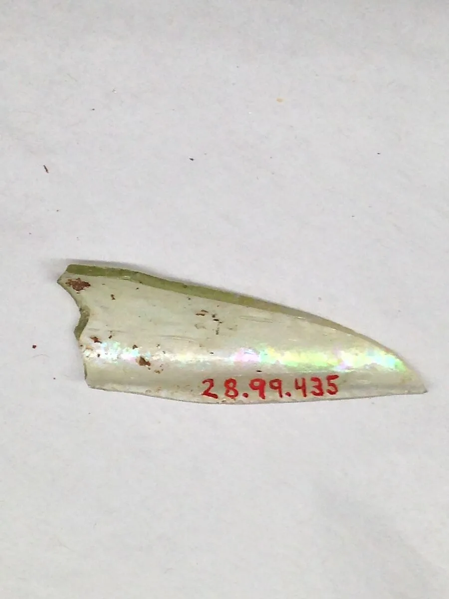 Fragment — Unknown