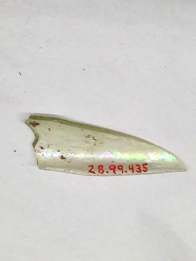 Fragment
