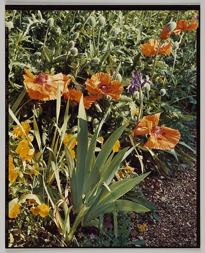 Giverny
