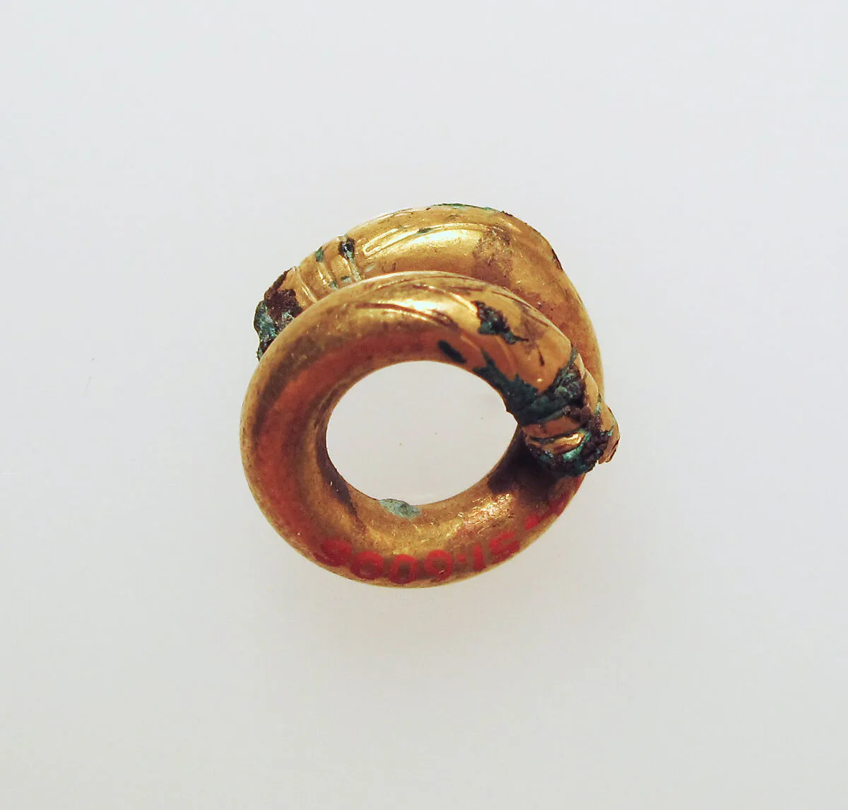 Earring or spiral — Unknown