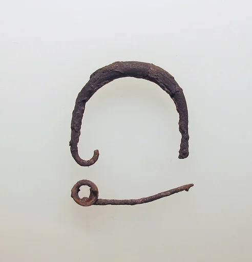 Fibula