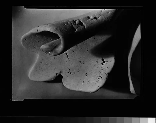 [Shell Detail]