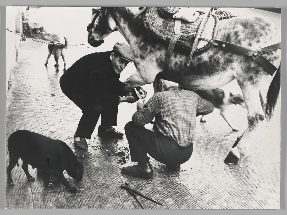 Puglia 13 — Mario Giacomelli