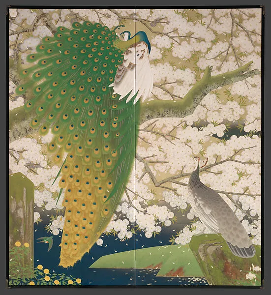 今津辰之筆 桜に孔雀図屏風|Peacocks and Cherry Blossoms — Imazu Tatsuyuki