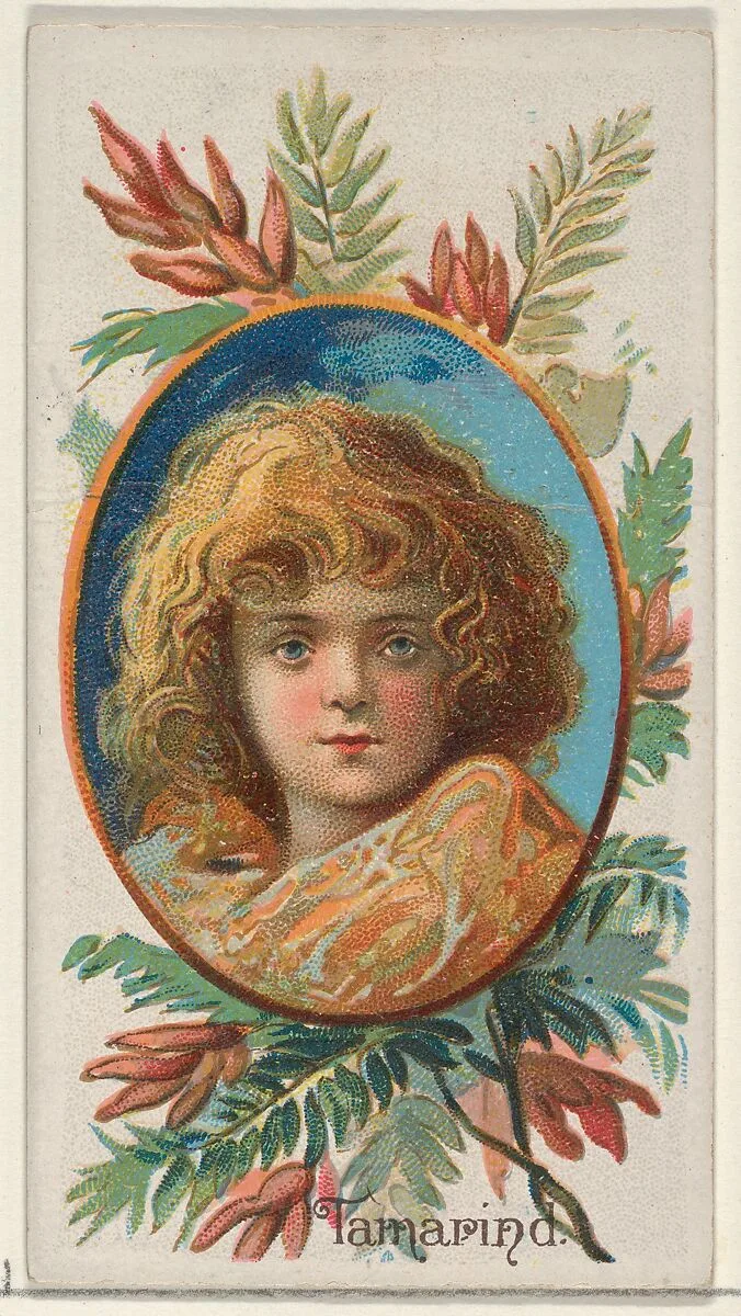 Tamarind, from the Fruits series (N12) for Allen & Ginter Cigarettes Brands — Allen & Ginter|George S. Harris & Sons