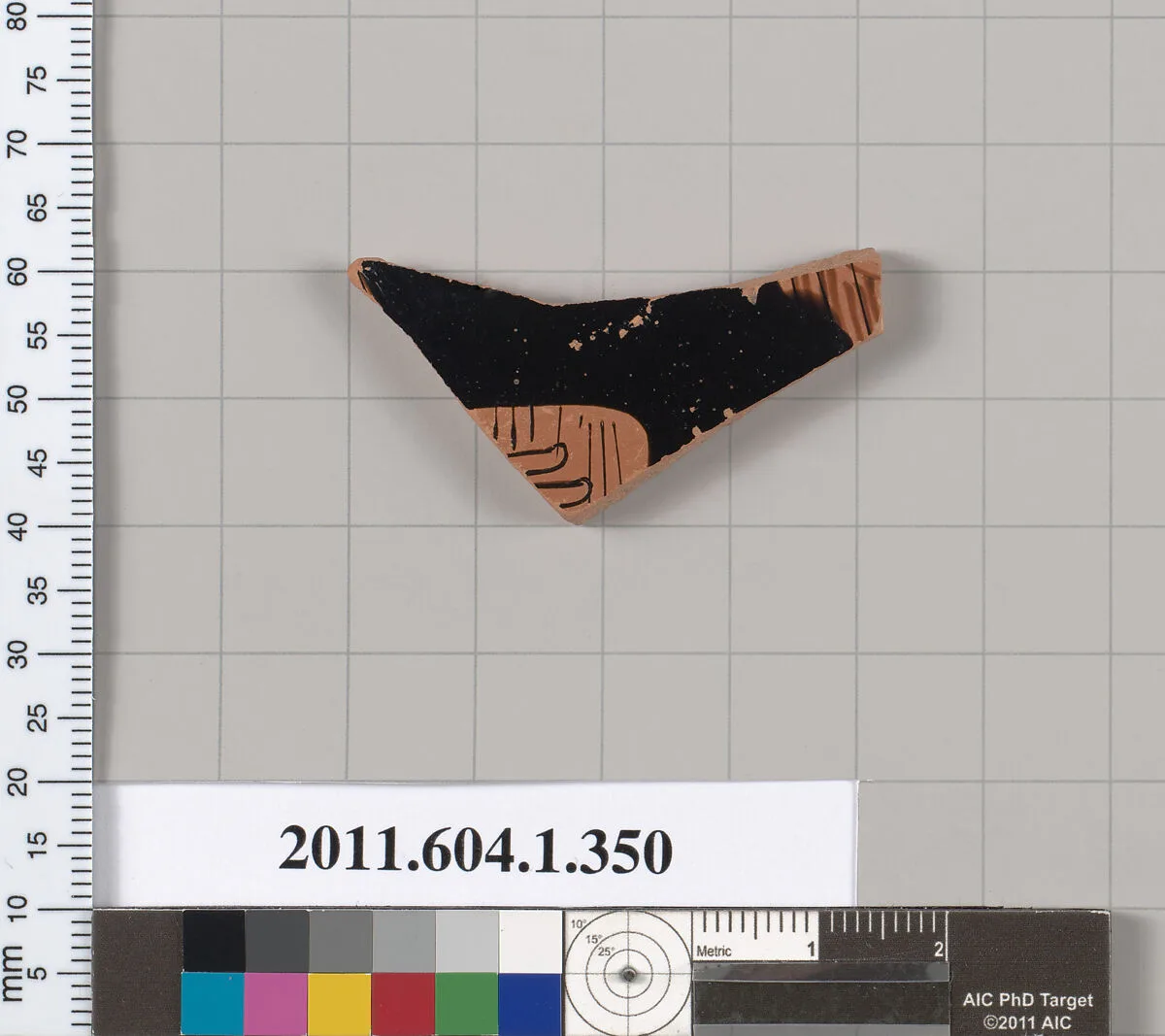 Terracotta fragment of a kylix (drinking cup) — Unknown