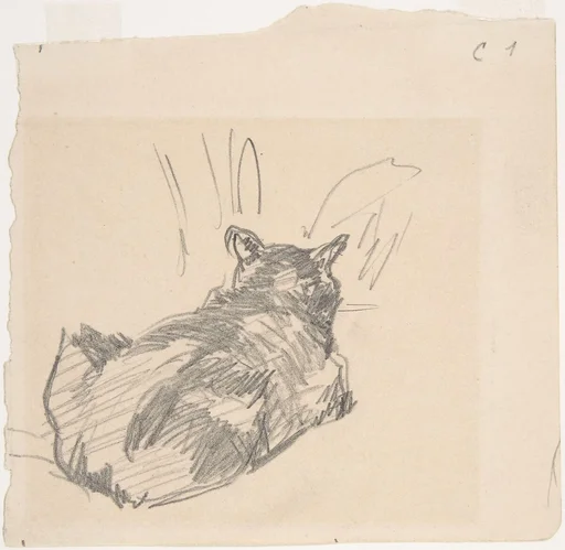 A Cat Resting on All Fours, Seen from Behind