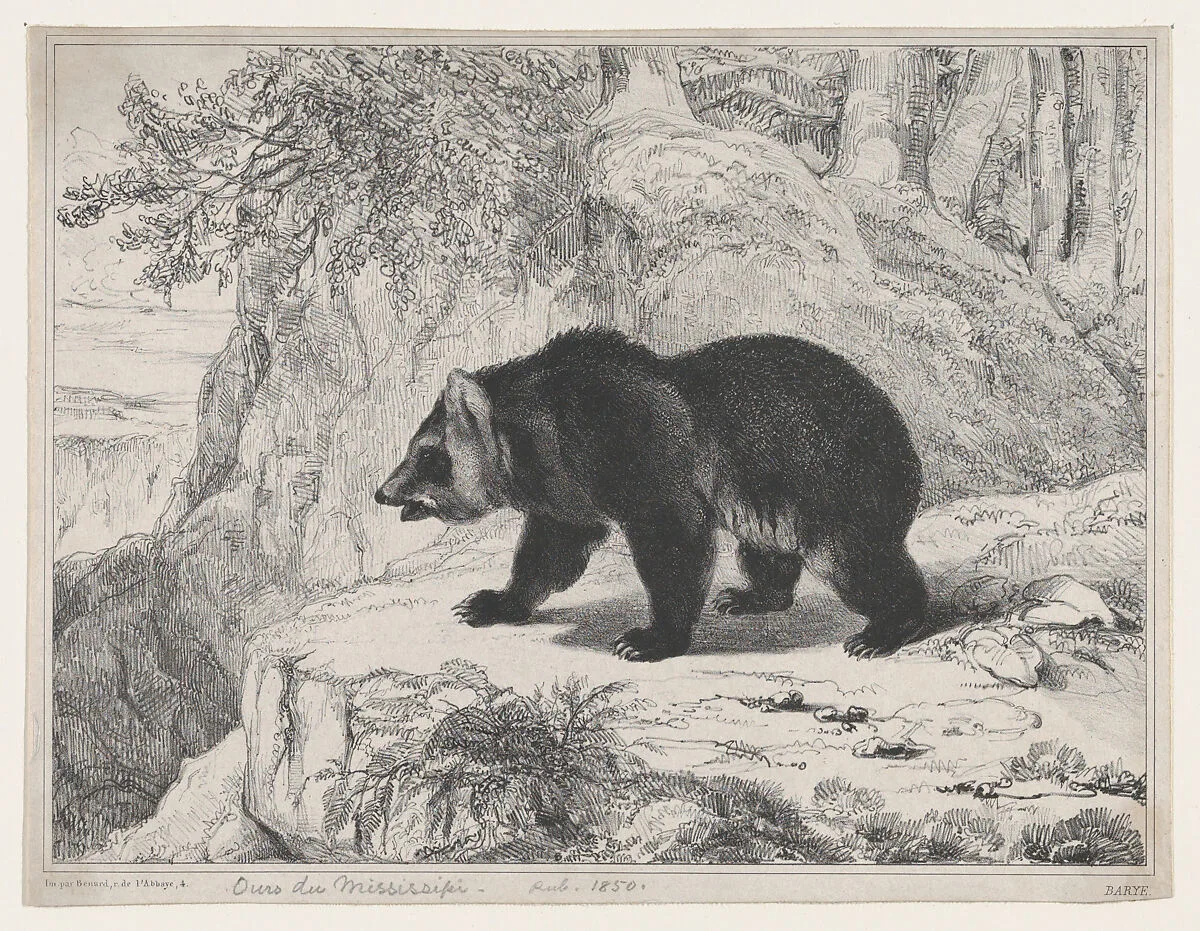 Mississippi Bear — Antoine-Louis Barye