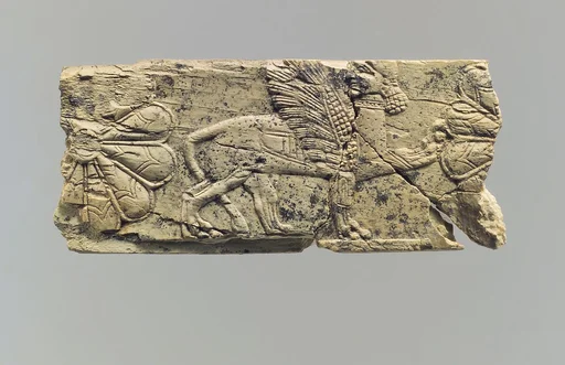 Panel fragment