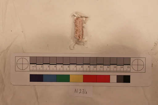 Stucco Fragment