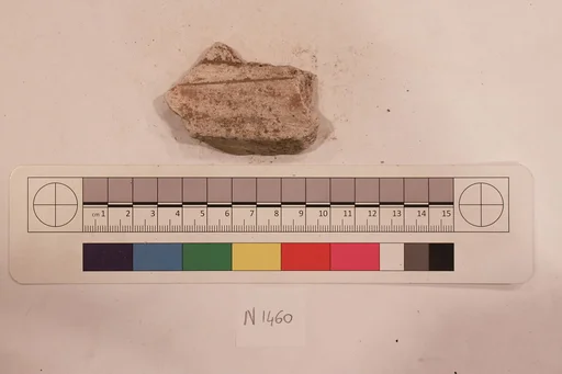 Stucco Fragment