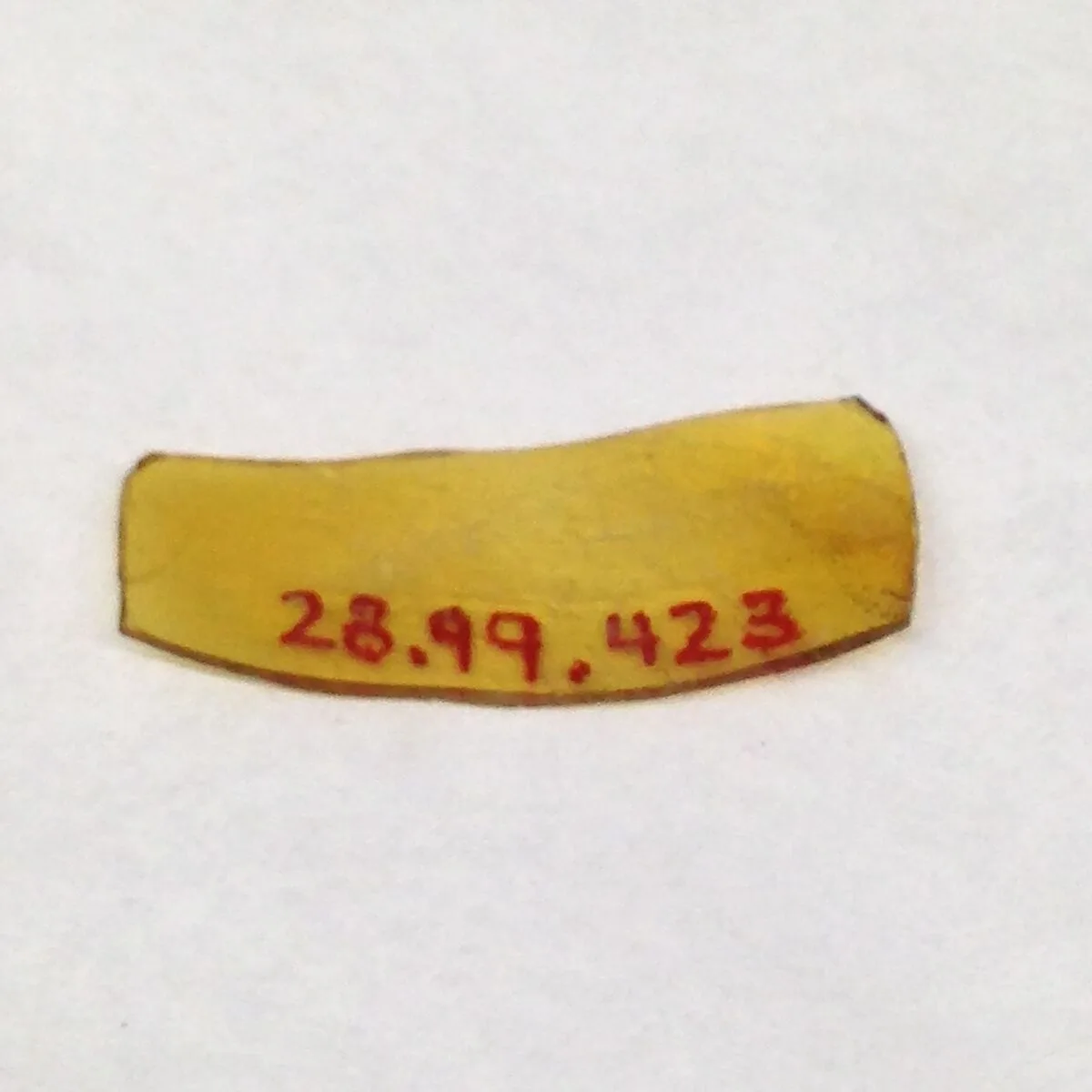 Fragment — Unknown