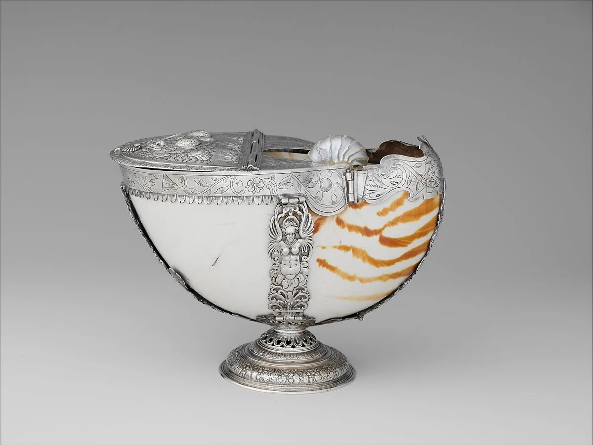 Nautilus shell box — Unknown