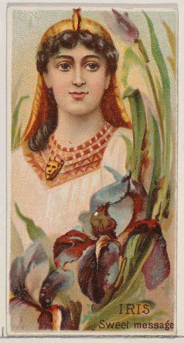 Iris: Sweet Message, from the series Floral Beauties and Language of Flowers (N75) for Duke brand cigarettes — Donaldson Brothers|American Tobacco Company