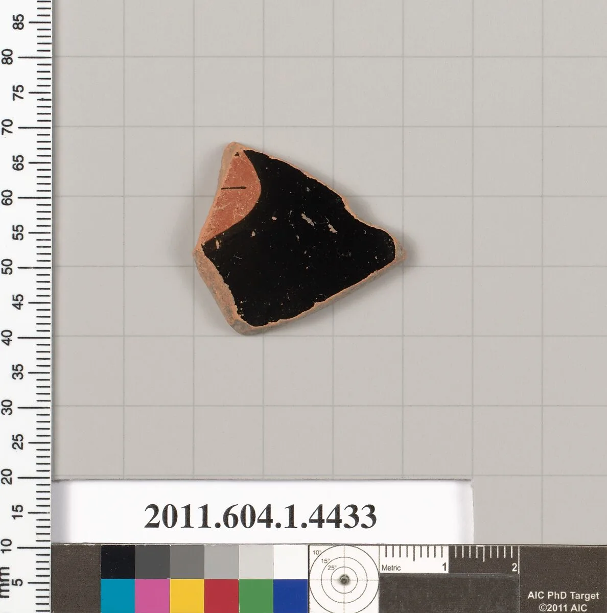 Terracotta fragment of a kylix (drinking cup) — Unknown