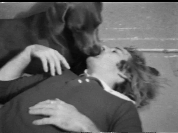 The Kiss — William Wegman