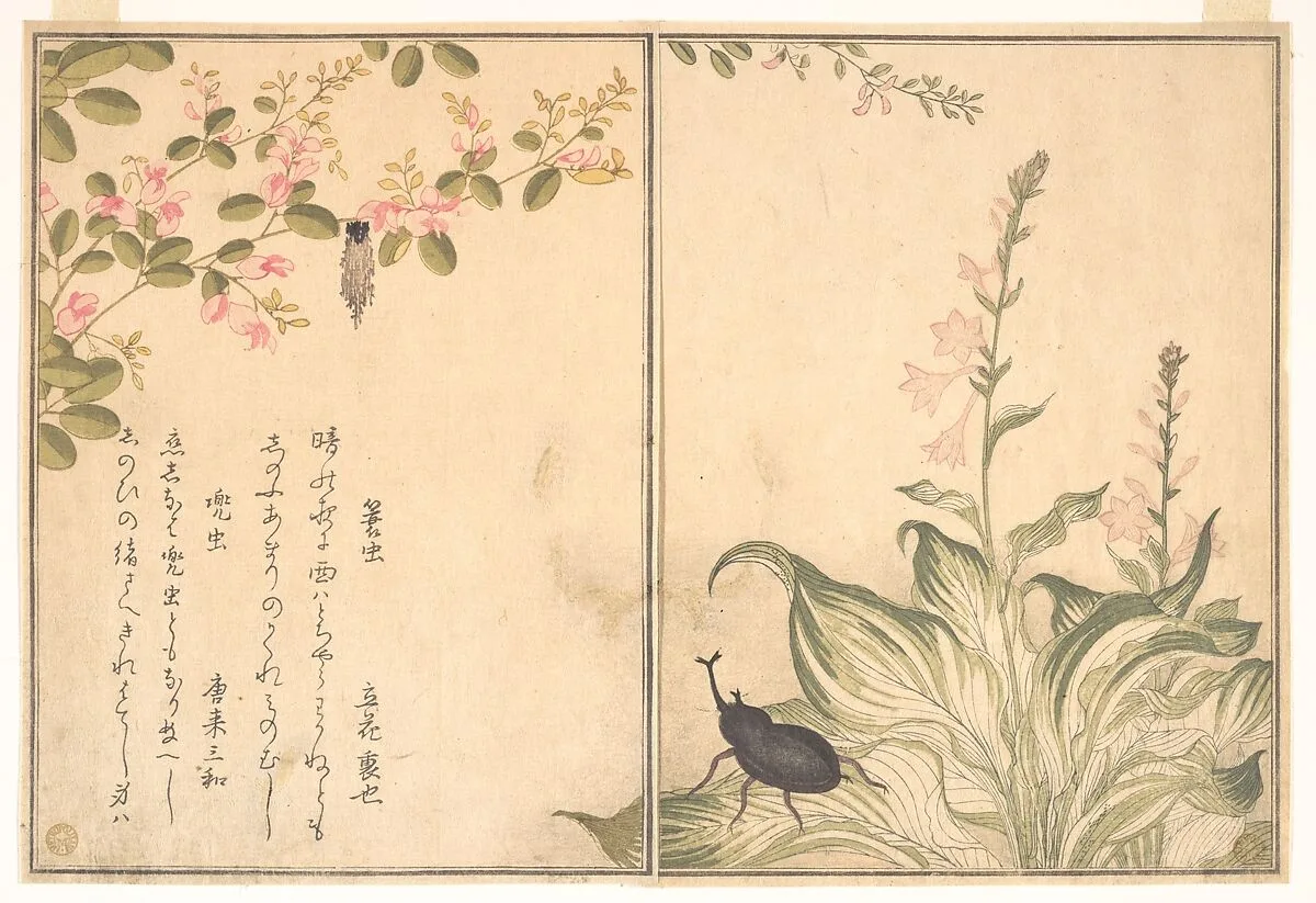 『画本虫撰』「蓑虫」「兜虫」|Bagworm (Minomushi); Horned Scarab Beetle (Kabutomushi), from the Picture Book of Crawling Creatures (Ehon mushi erami) — Kitagawa Utamaro