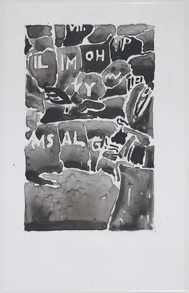 Untitled (Map), Democracy Soup — Guy Ben-Ari