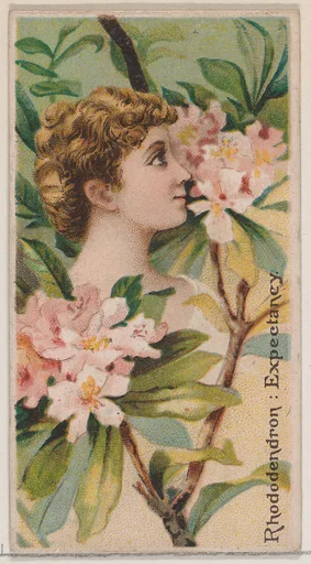 Rhododendron: Expectancy, from the series Floral Beauties and Language of Flowers (N75) for Duke brand cigarettes