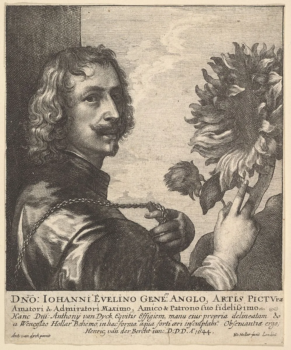Sir Anthony Van Dyck with a Sunflower — Wenceslaus Hollar|Anthony van Dyck|Anthony van Dyck|John Evelyn
