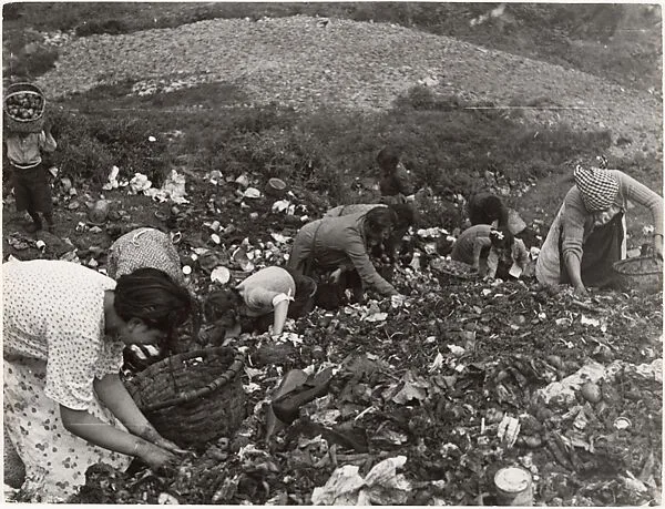 Civilians Looking through Garbage — Robert Capa
