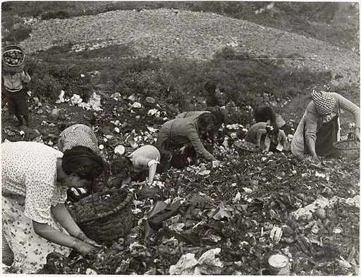 Civilians Looking through Garbage