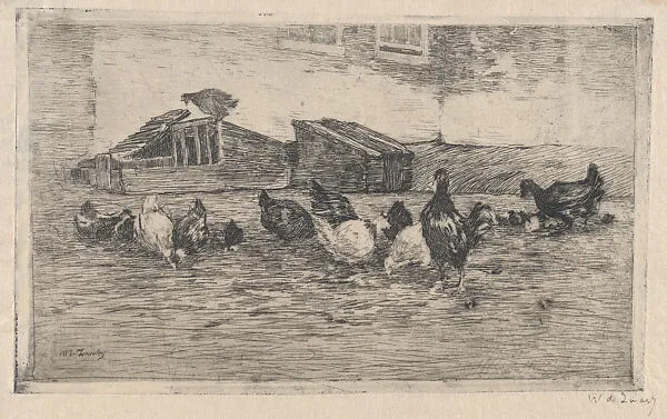 Chickens and Coops — Willem de Zwart