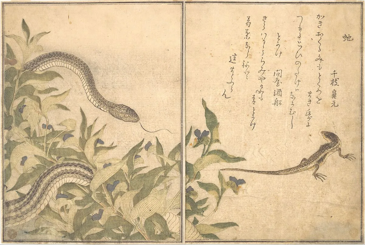 『画本虫撰』「虵」「とかけ」|Rat Snake (Hebi); Lizard or Skink (Tokage), from the Picture Book of Crawling Creatures (Ehon mushi erami) — Kitagawa Utamaro