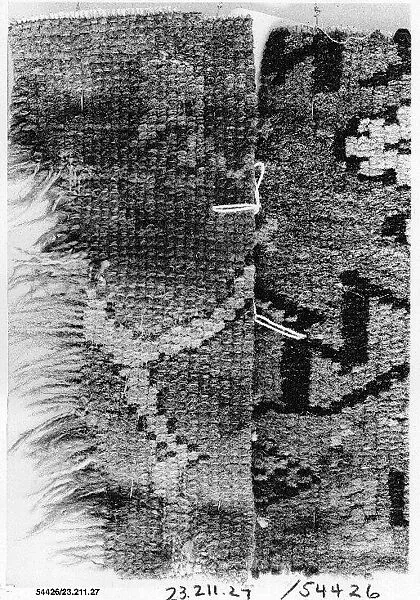 Carpet Fragment — Unknown