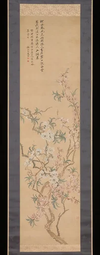 椿椿山筆 紅白桃花図(付・画稿)|Red and White Peach Blossoms