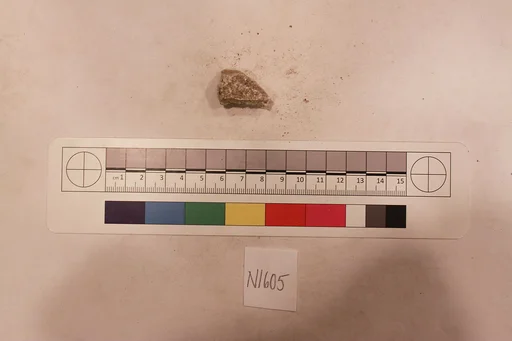 Stucco Fragment