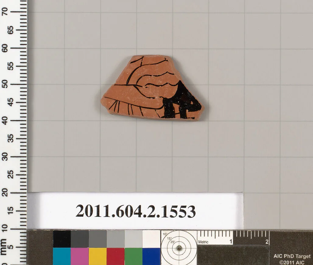 Terracotta fragment of a skyphos (deep drinking cup) — Unknown