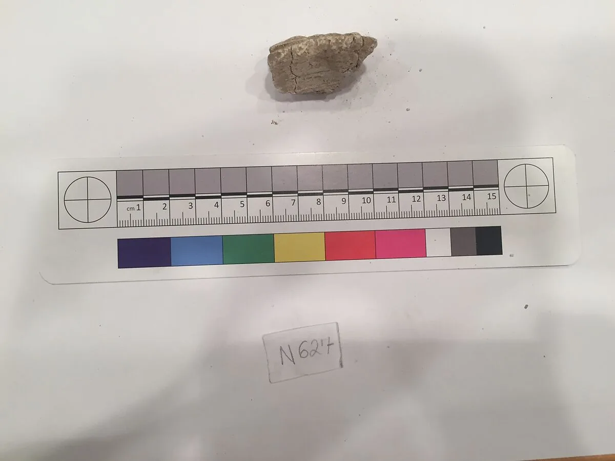 Stucco Fragment — Unknown