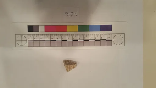 Stucco Fragment