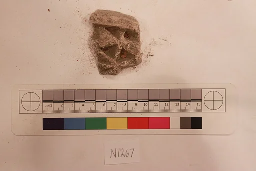 Stucco Fragment