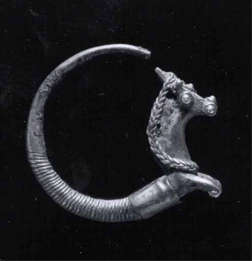 Earring