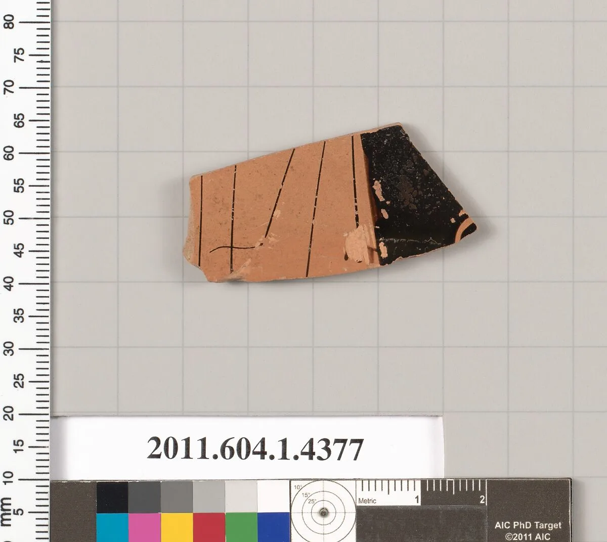 Terracotta fragment of a kylix (drinking cup) — Unknown