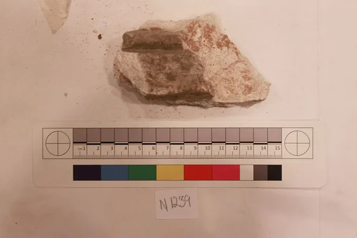Stucco Fragment