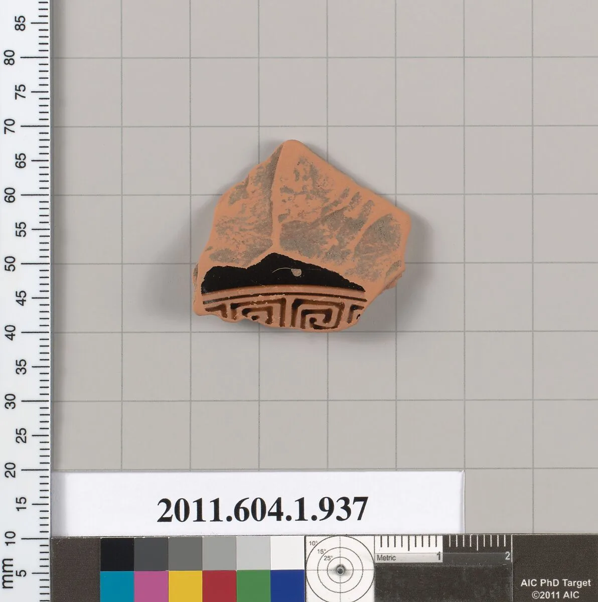 Terracotta fragment of a kylix (drinking cup) — Unknown
