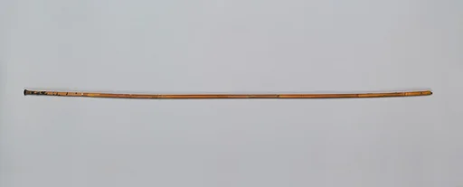 Blunt Pile and Shaft of a Javelin