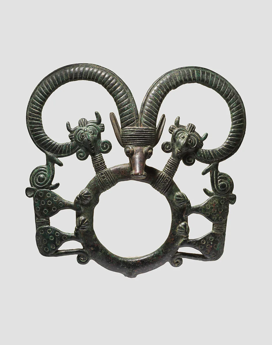 Harness ring — Unknown